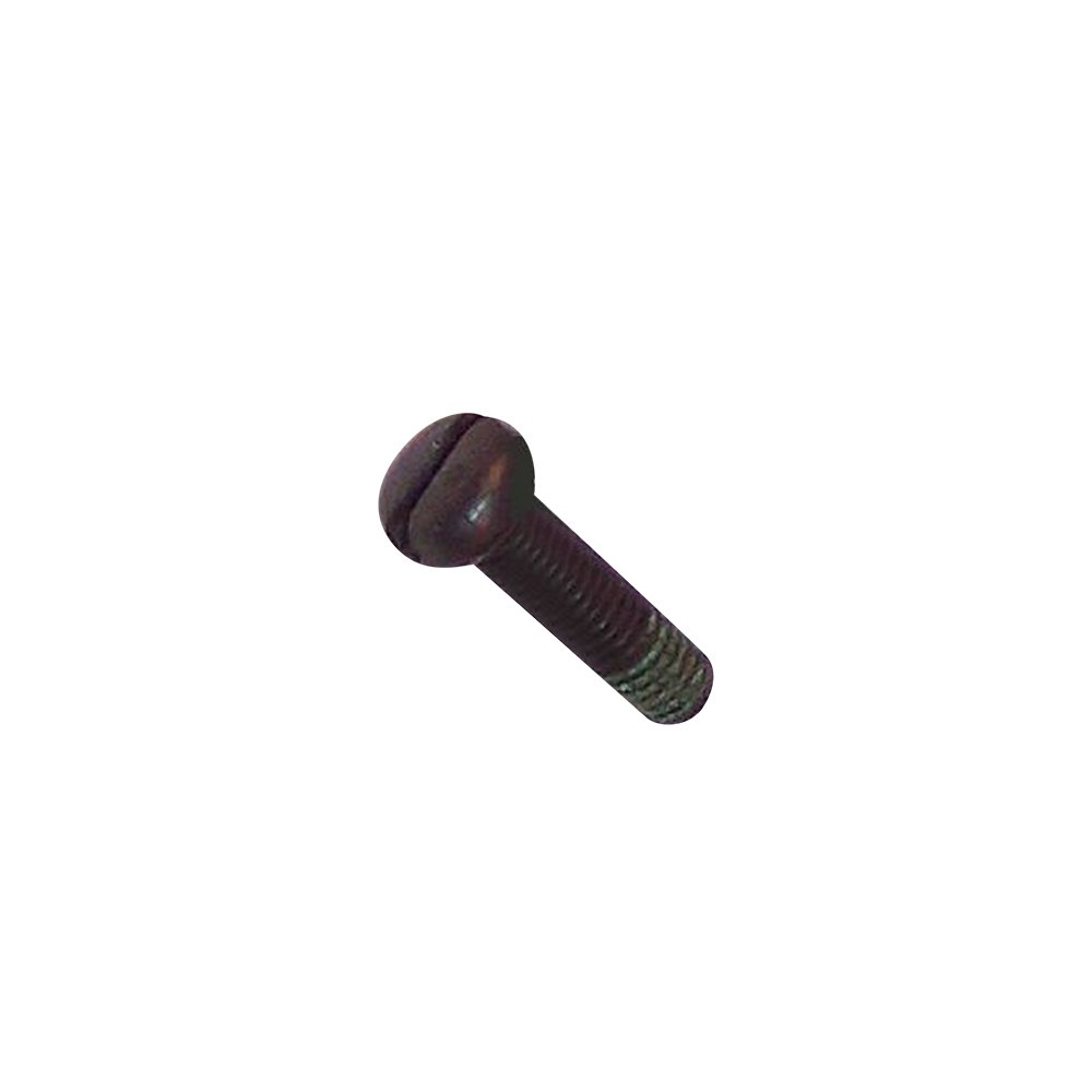 251457-0  สกรูหัวกลมนูน Pan Head Screw M5X20 (7) 6019D