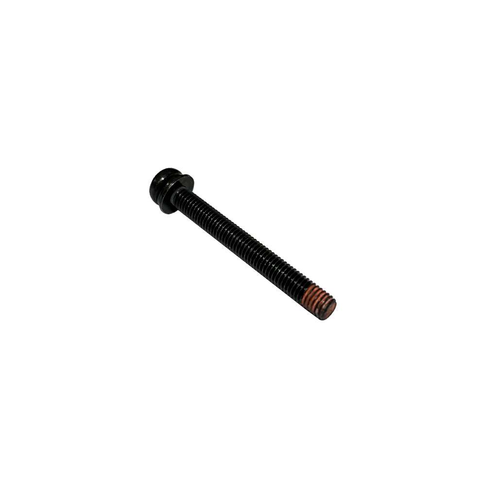 911666-0 สกรูหัวกลมนูน Pan Head Screw M5x45  4300BV