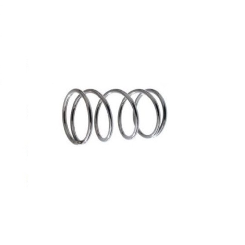 14119 Stainless Steel Spring  K1150 (12)