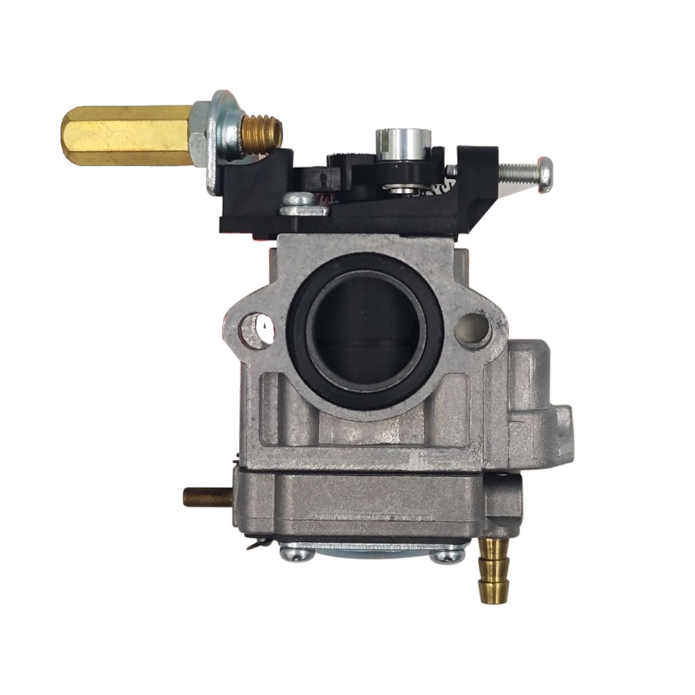 282298 BCF500/420 Carburetor Assy