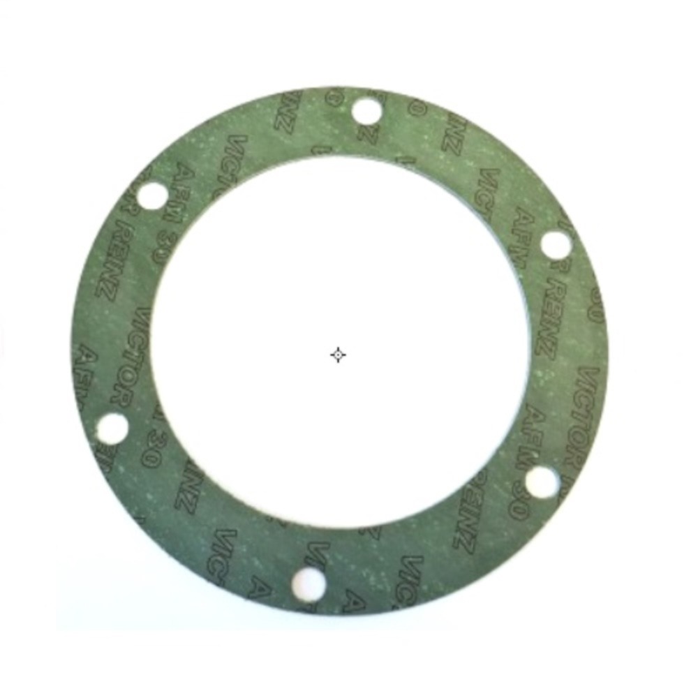 40511 Flat Gasket for Gear Housing AQ Q800 (6)