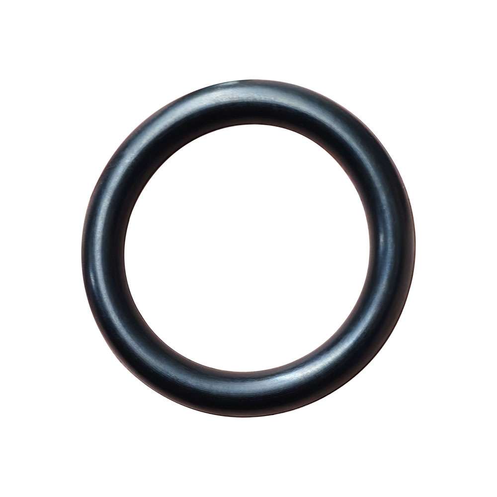 H00104C02 O-Ring (19) EP205-405R