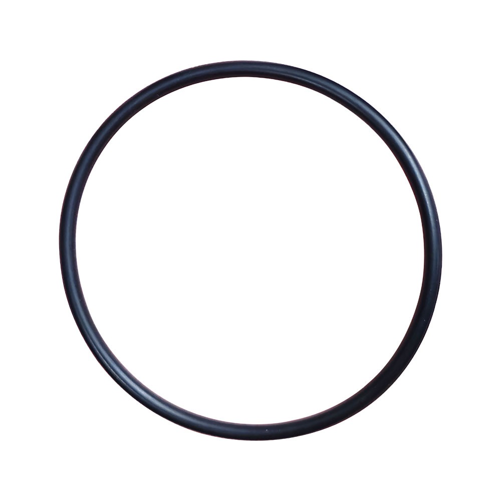 H00502E01 O-Ring 205-405P (14) CC